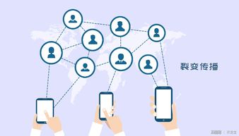 開發(fā)寶全面升級會員權益 為企業(yè)提供定制化專屬軟件外包服務