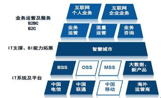 天源迪科（300047）更新研究報告 聚焦政企與運營商雙輪驅動，深化軟件外包服務布局